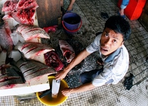 This fishmonger in Sandakan, Malaysian
Borneo had his forehead cosmetically
scarred, giving him a permanently
fearsome look.